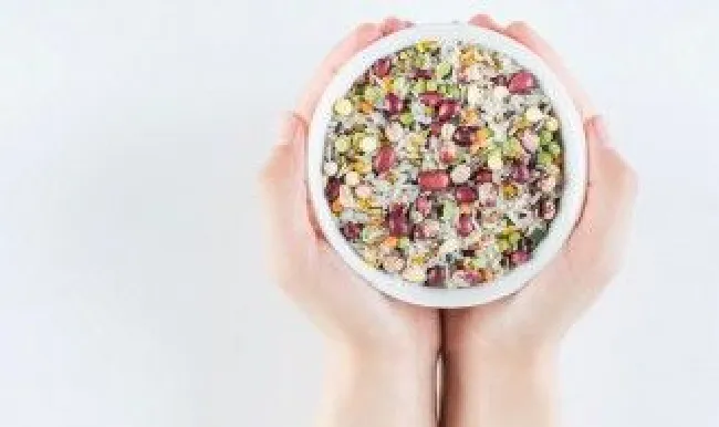 粮食的保存方法 粮食的保存方法要诀
