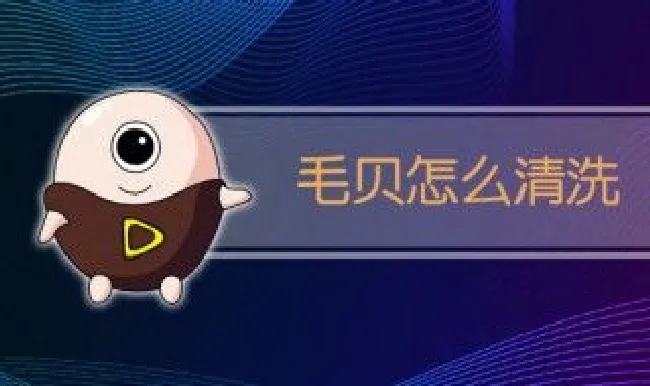 毛贝怎么清洗 毛贝怎么清洗比较干净
