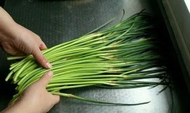 蒜苔怎么处理（蒜苔怎么择菜）