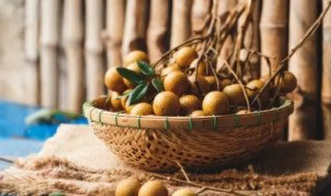 桂圆保存方法 保存桂圆的方法