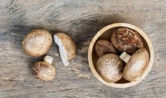 鲜香菇的保存方法（新鲜香菇的保存方法）