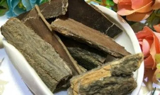 杜仲皮保存方法 杜仲皮怎样保存