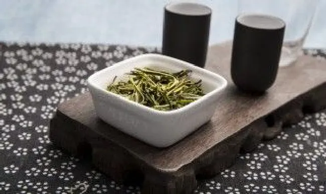 白鸡冠属于什么茶 白鸡冠属于什么茶种