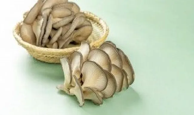 自己在家如何种蘑菇（自己在家怎么种蘑菇）