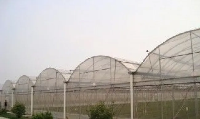 温室大棚的处理方法