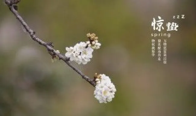 关于惊蛰的谚语 关于惊蛰的谚语和古诗
