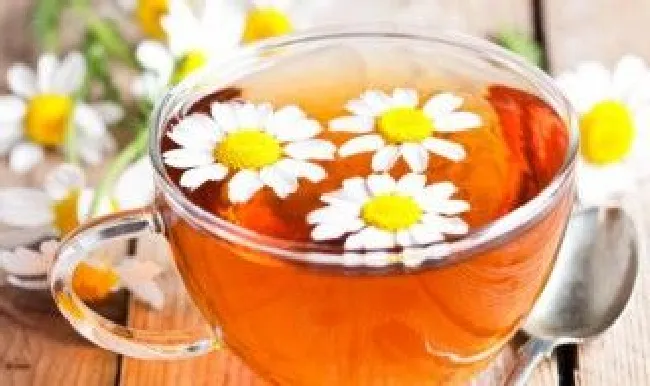 鲜菊花保存方法（鲜菊花如何保鲜）