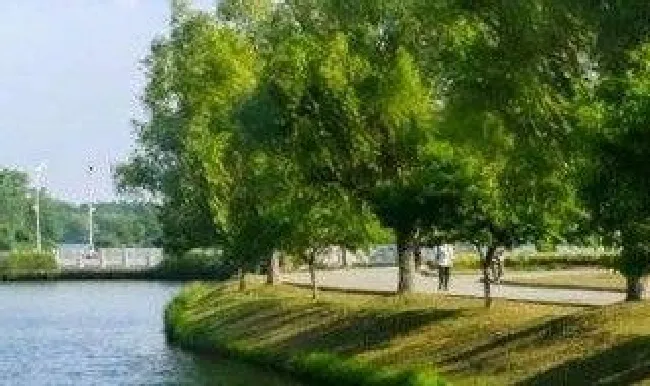 南京江宁区有什么好玩的景点（南京有什么好玩的景点）