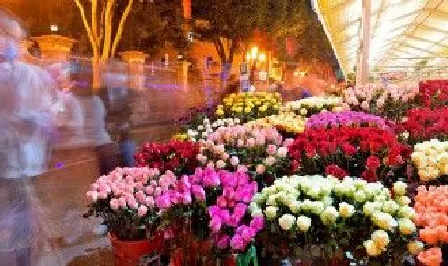66朵玫瑰花代表什么意思 65朵玫瑰花的意思