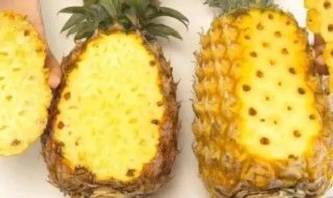 凤梨和菠萝有啥区别 凤梨和菠萝有啥区别哪个好吃甜