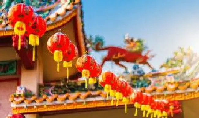 春节年货（春节年货清单手抄报简单又漂亮）