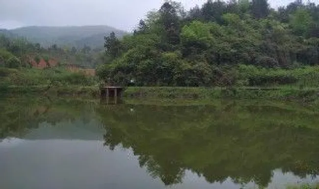 山体鱼塘怎么做不漏水 山上的鱼塘怎么做防水