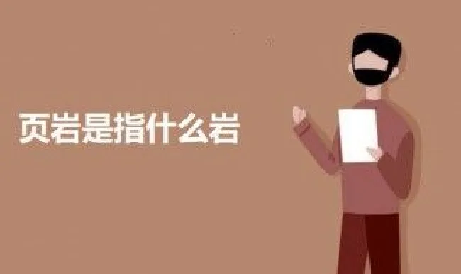 页岩是指什么岩（页岩是指什么岩石）