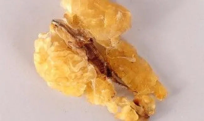 林蛙干的保存方法（林蛙怎么晾干）