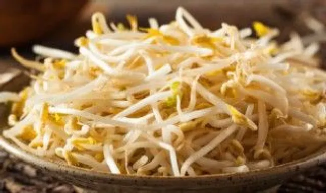 家中怎么发豆芽快速生芽的方法大全（如何发豆芽又快又好自己在家）