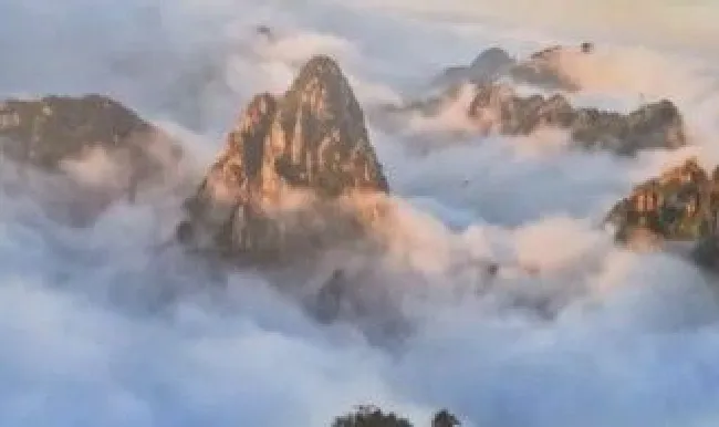 黄山的四绝（黄山的四绝是什么名称）