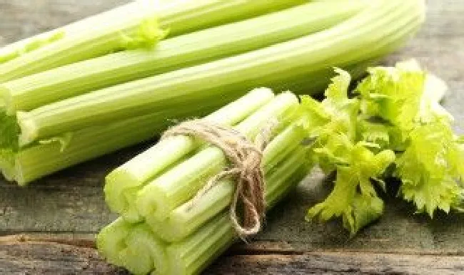 摘叶的芹菜长期保鲜储存方法（摘叶的芹菜长期保鲜储存方法有哪些）