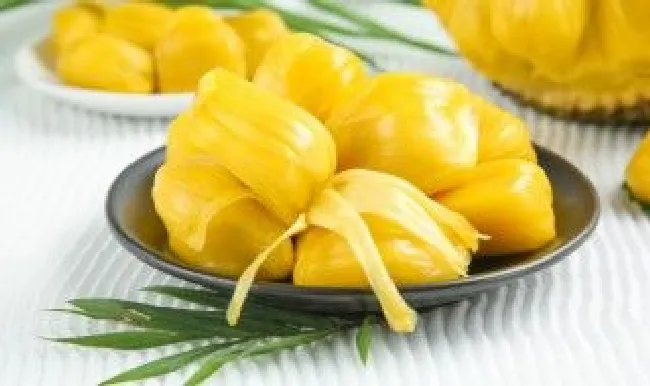 菠萝蜜皮能吃吗 菠萝蜜皮能吃吗怎么吃
