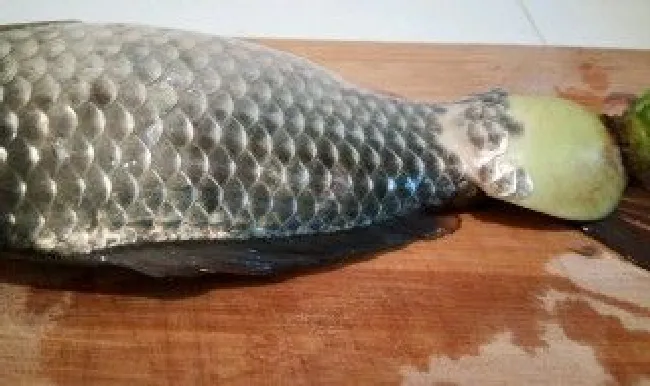 去鱼鳞最快最有效的方法 去鱼鳞 百度经验
