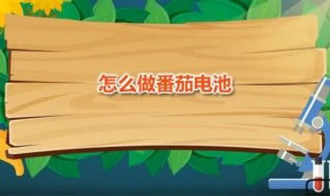 怎么做番茄电池 番茄电池实验报告