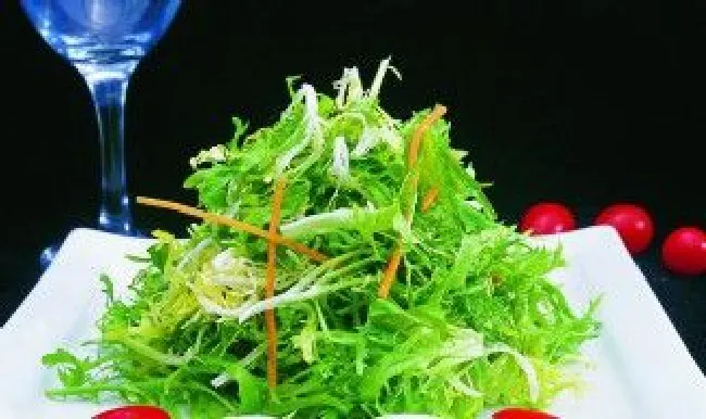 移栽苦菊苗的正确方法 苦菊栽培
