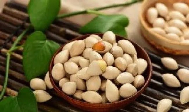 鲜百果怎么保存方法（新鲜白果如何保存）