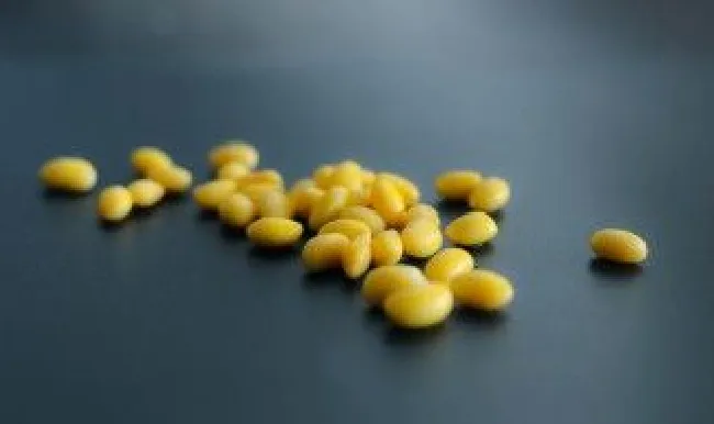老黄豆的保存方法 黄豆怎样保存