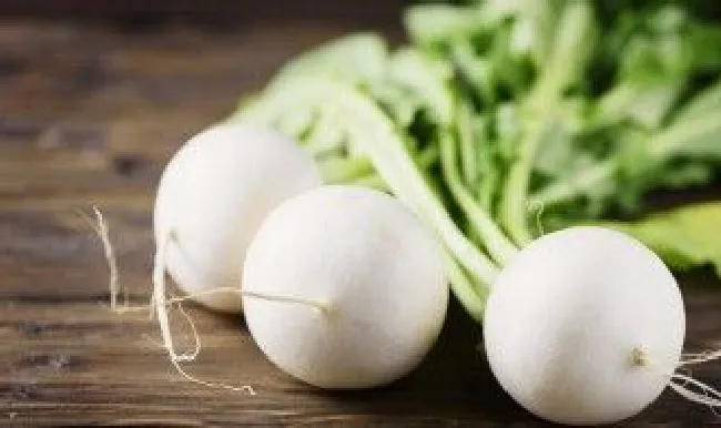 泡菜萝卜的腌制方法大全（腌制萝卜泡菜的做法）