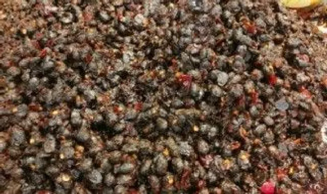 湖南腊八豆制作方法 湖南腊八豆制作方法和步骤