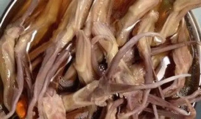 糟卤鸭舌的做法 糟卤鸭舌的做法窍门