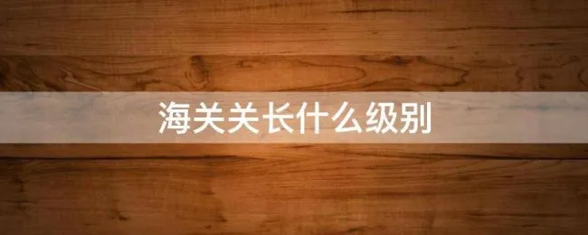 海关关长什么级别 湛江市海关关长什么级别