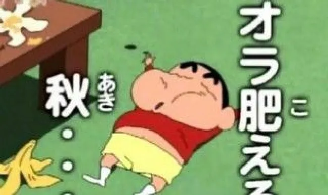 蜡笔小新中各个人的名称?（蜡笔小新中各个人的名称英文）