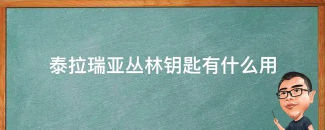 泰拉瑞亚丛林钥匙有什么用（泰拉瑞亚丛林钥匙有啥用）