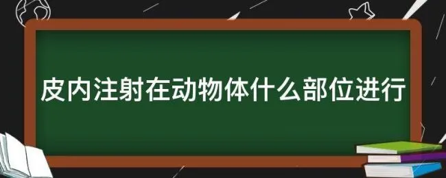 皮内注射在动物体什么部位进行 实验动物皮内注射