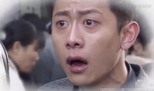 陆有义是什么电视剧（陆有义原型）