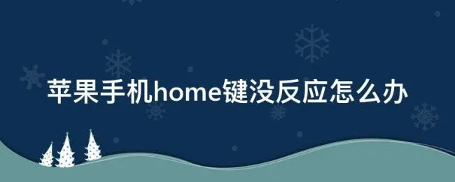 苹果手机home键没反应怎么办 苹果手机home键没反应了