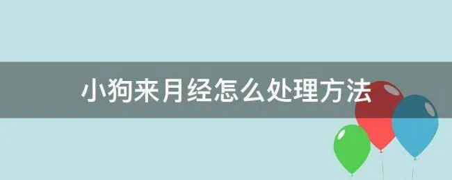 小狗来月经怎么处理方法 小狗来月经怎么办啊