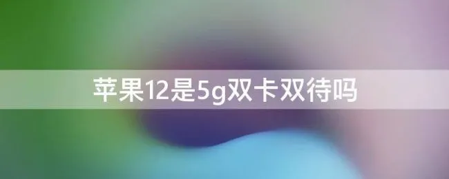 苹果12是5g双卡双待吗 苹果12是双卡双待双5G吗