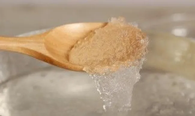 雪燕每天什么时候吃最好（雪燕什么时间吃最好每天吃几次）