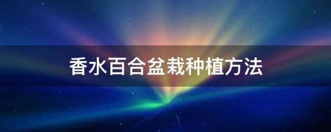 香水百合盆栽种植方法 香水百合如何盆栽