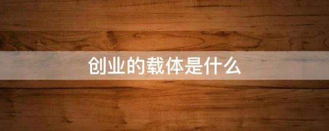 创业的载体是什么（创业精神的载体是）
