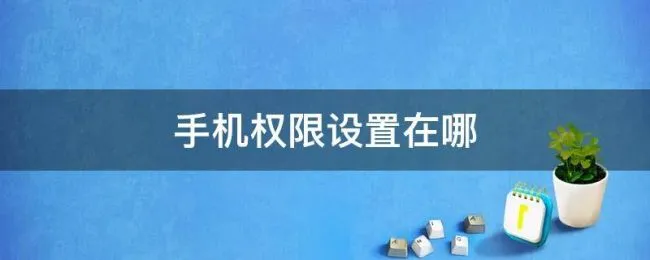 手机权限设置在哪（手机权限设置在哪里）