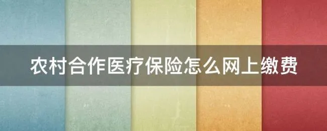 农村合作医疗保险怎么网上缴费（农村合作医疗保险怎么网上缴费?）