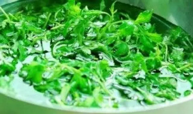 鲜艾叶汤功效与作用机理 鲜艾叶汤功效与作用机理及禁忌