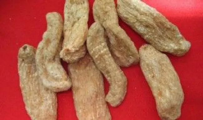 干天麻能不能在冰箱存放（干天麻可以急冻冰箱吗）