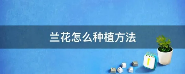 兰花怎么种植方法 兰花怎么种植方法和注意事项