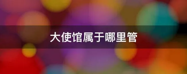 大使馆属于哪里管（大使馆归哪里管）