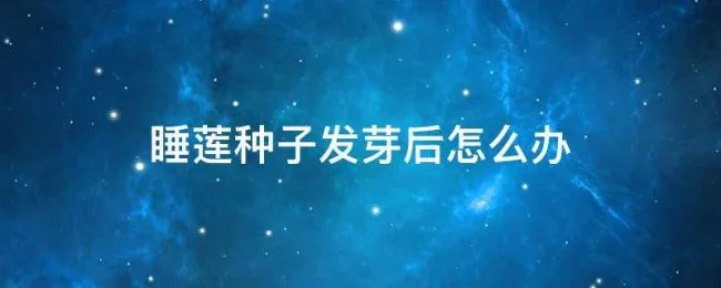 睡莲种子发芽后怎么办 睡莲种子浮起来了,还能发芽吗
