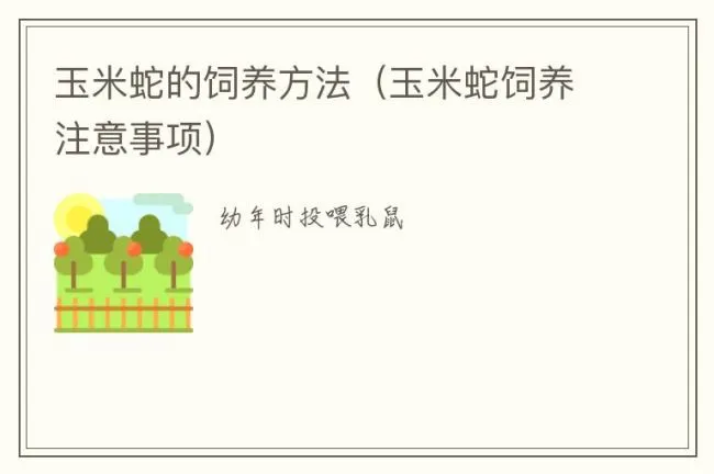 玉米蛇的饲养方法（玉米蛇饲养注意事项）