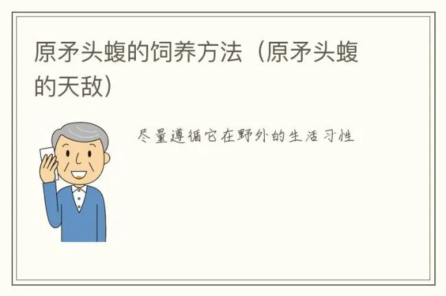 原矛头蝮的饲养方法（原矛头蝮的天敌）